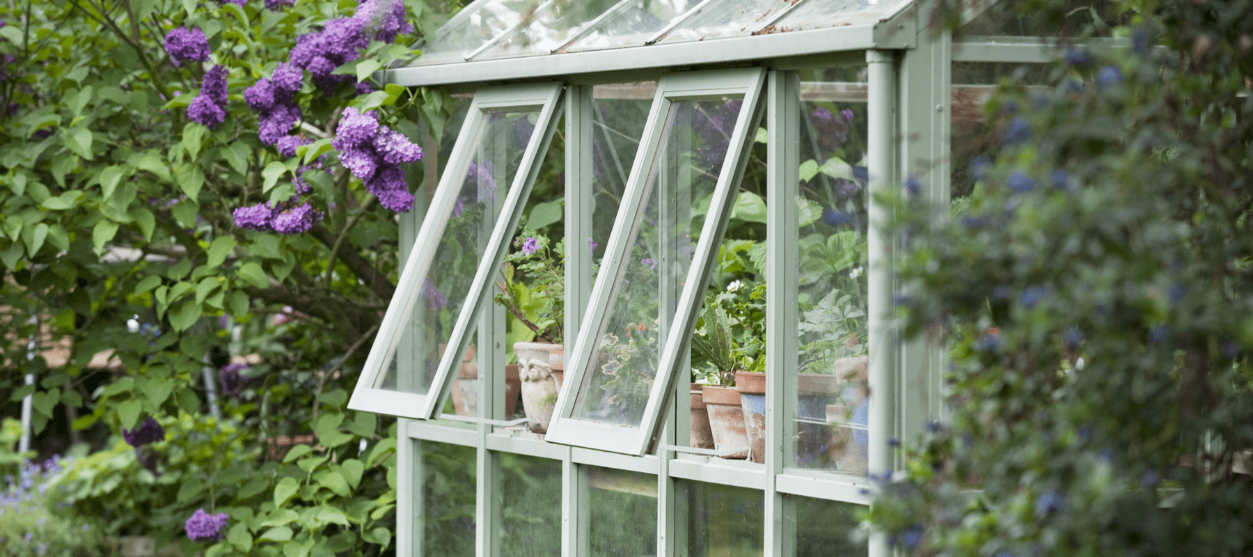 A greenhouse being ventilated
