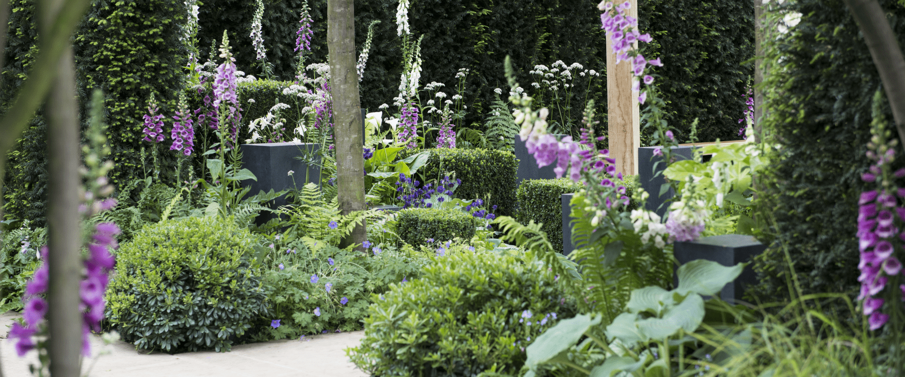 Chelsea Flower Show