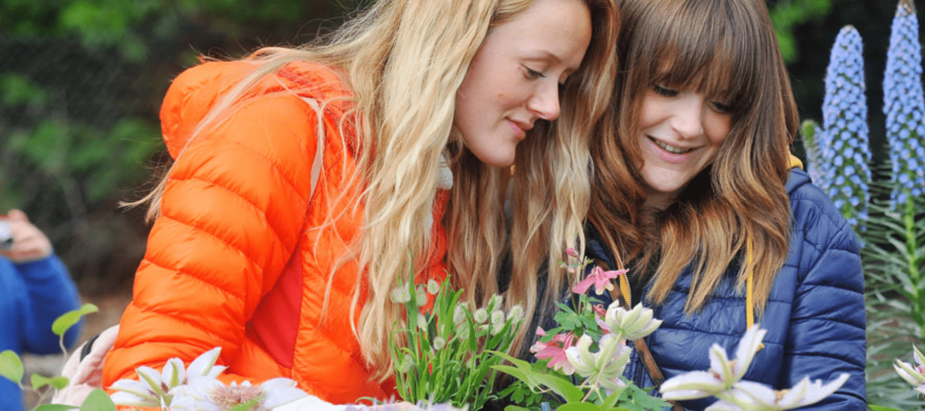 Harrogate Spring Flower Show 2022