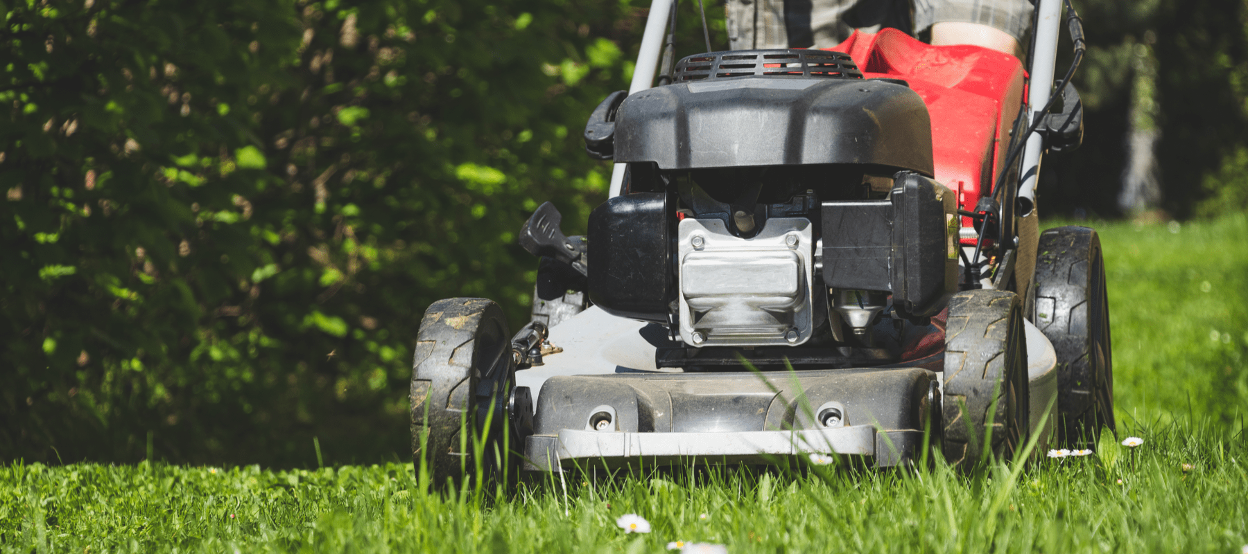 Mowing the grass in Spring