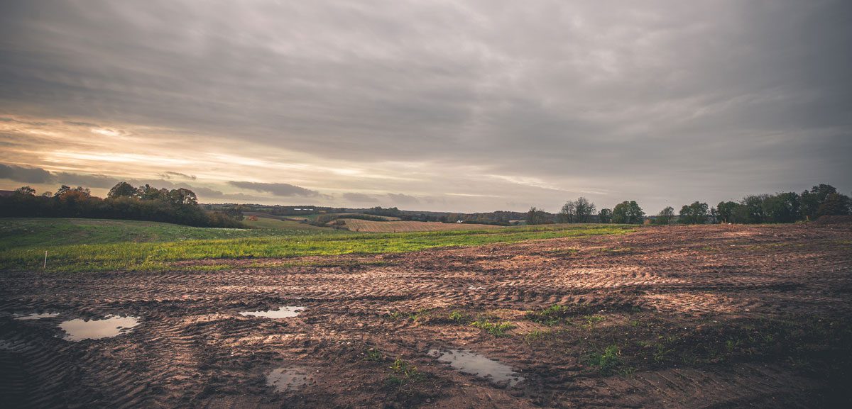 A farm with no crops