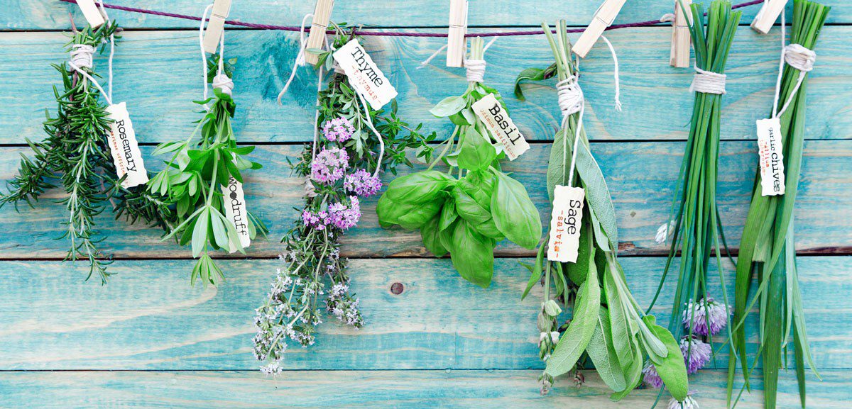 Rosemary, Thyme, Basil and Sage