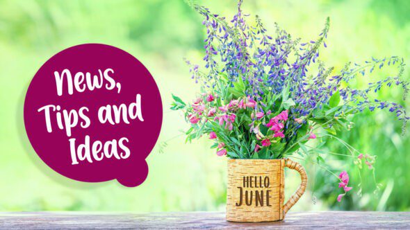 June in Your Garden