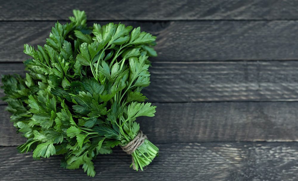 Parsley