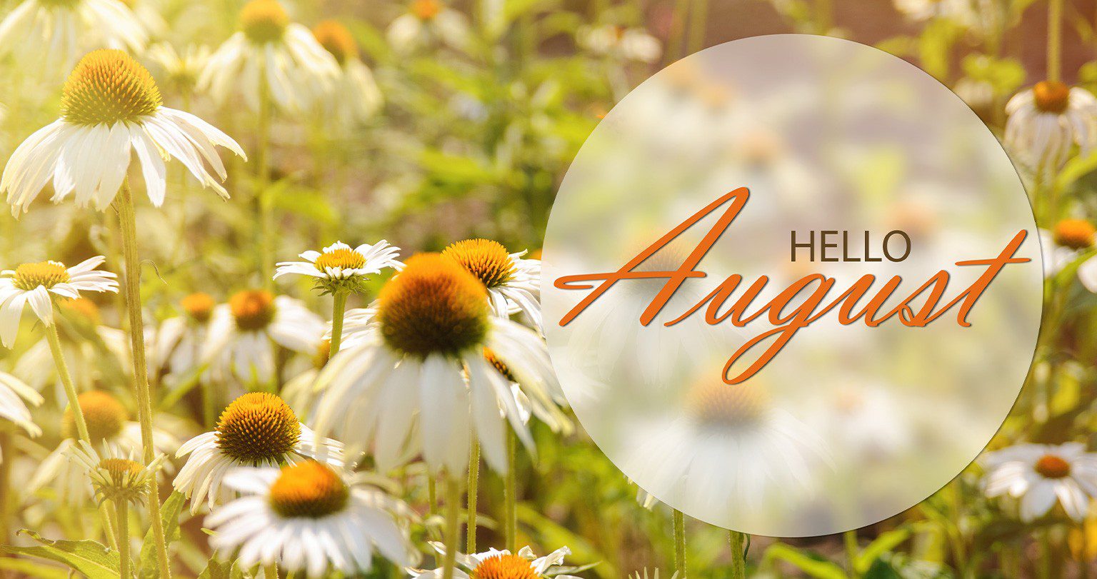 August in your Garden