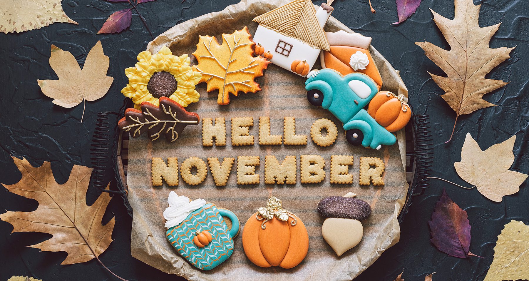 Hello November Gardening Tips