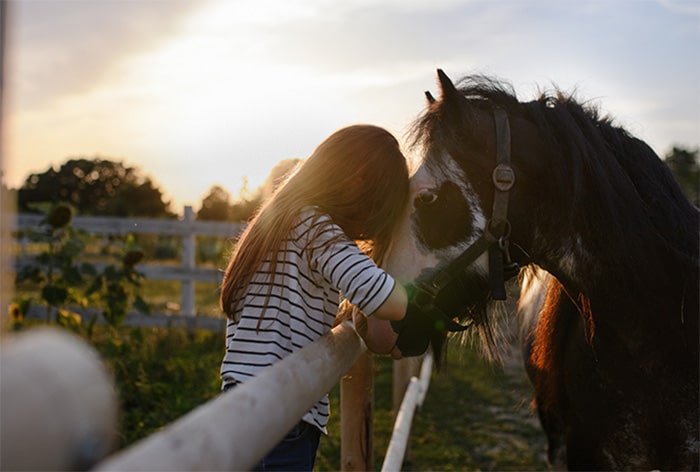 brigg horsing img