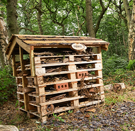 Midgley Woodland walk bug hotel