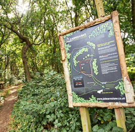 Midgley Woodland Walk and Nature Trail