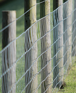 mesh fencing