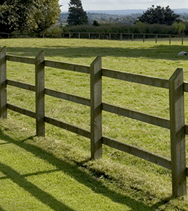 park fence