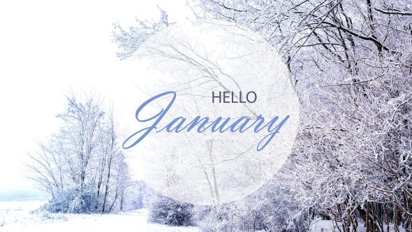 January In Your Garden