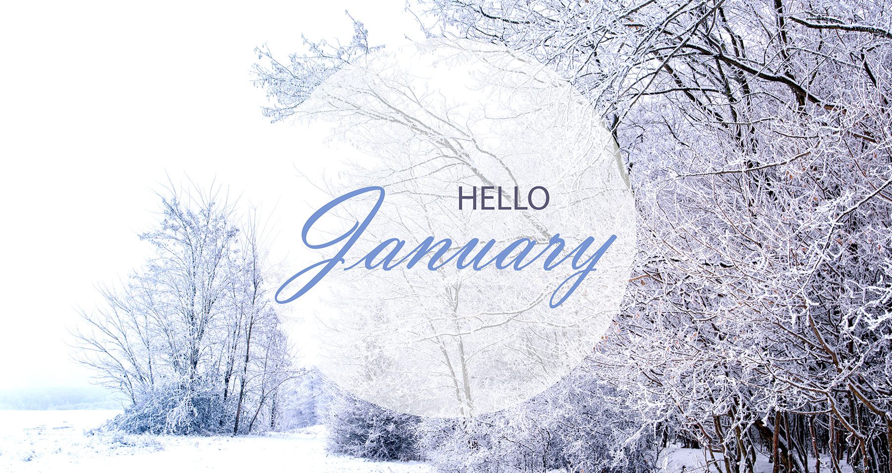 January in your Garden