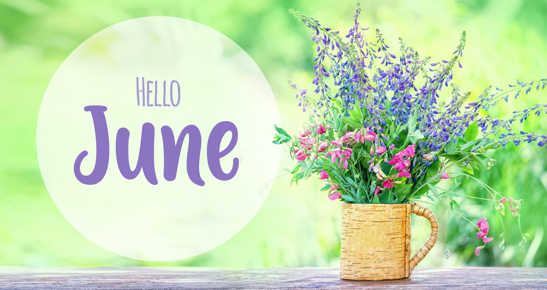 June in Your Garden