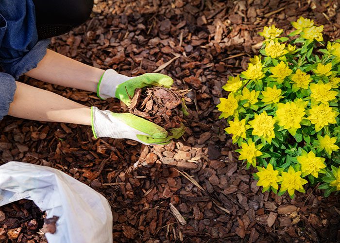 Garden Mulch from Earnshaws