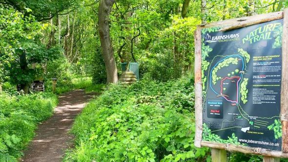 A Review of our Woodland Walk