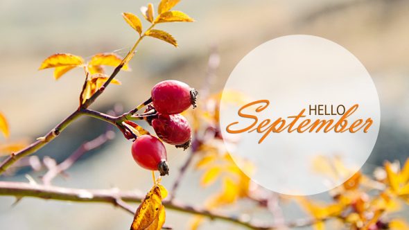 September In Your Garden