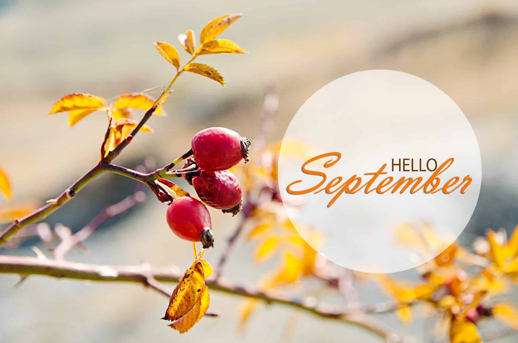 September In Your Garden