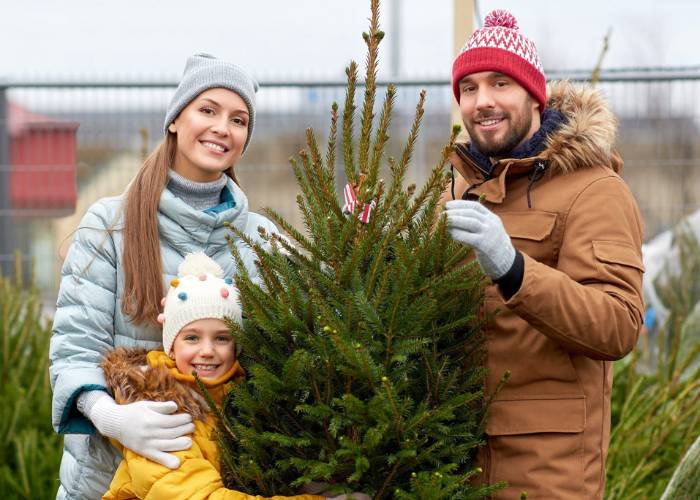 “Locally grown Christmas trees at Midgley