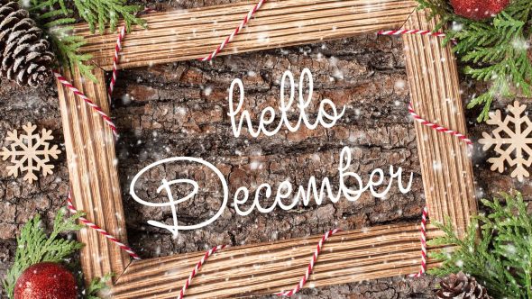 December In Your Garden