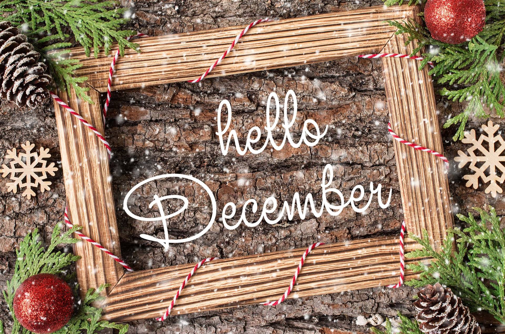 Gardening tips for December