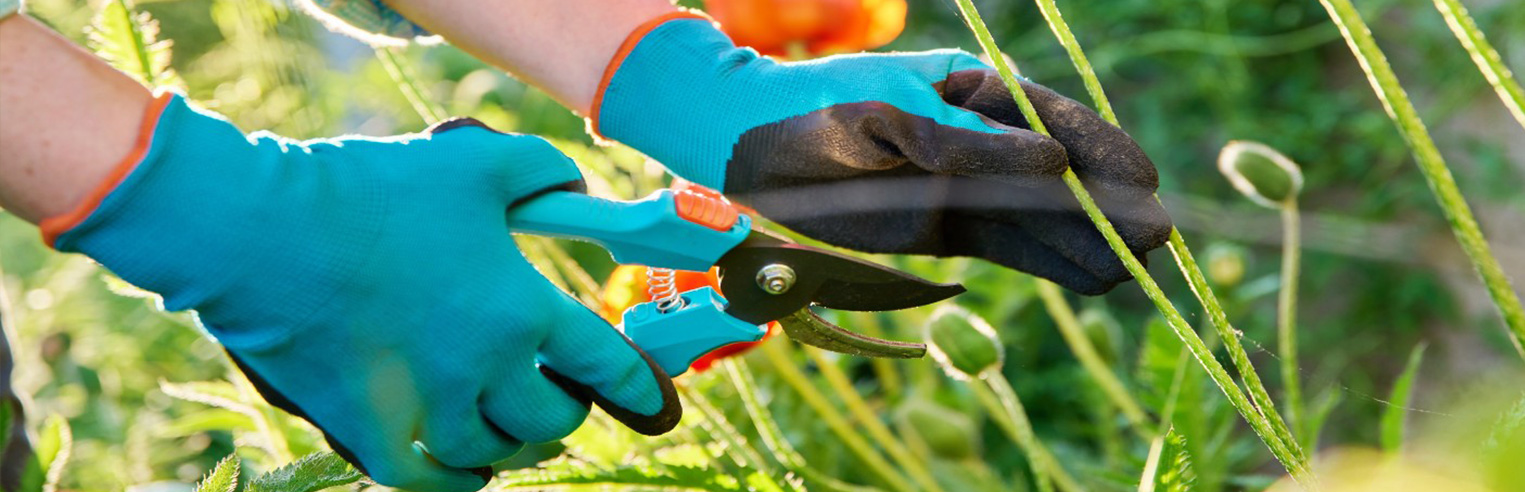 http://Earnshaws%20Gardening%20Gloves