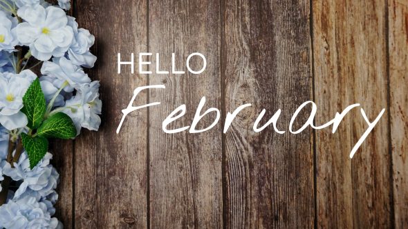 February In Your Garden