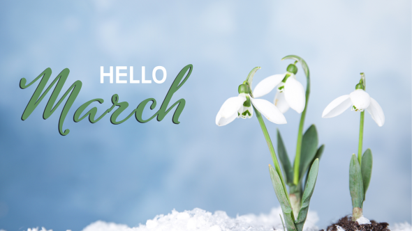 March In Your Garden