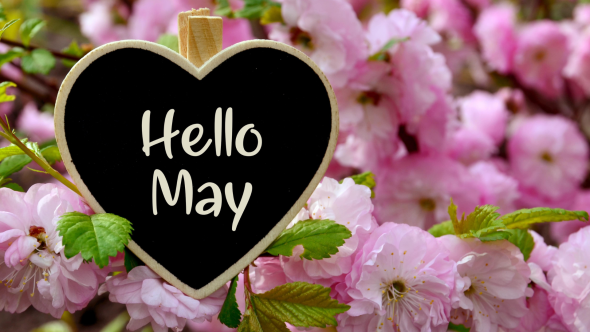 May In Your Garden