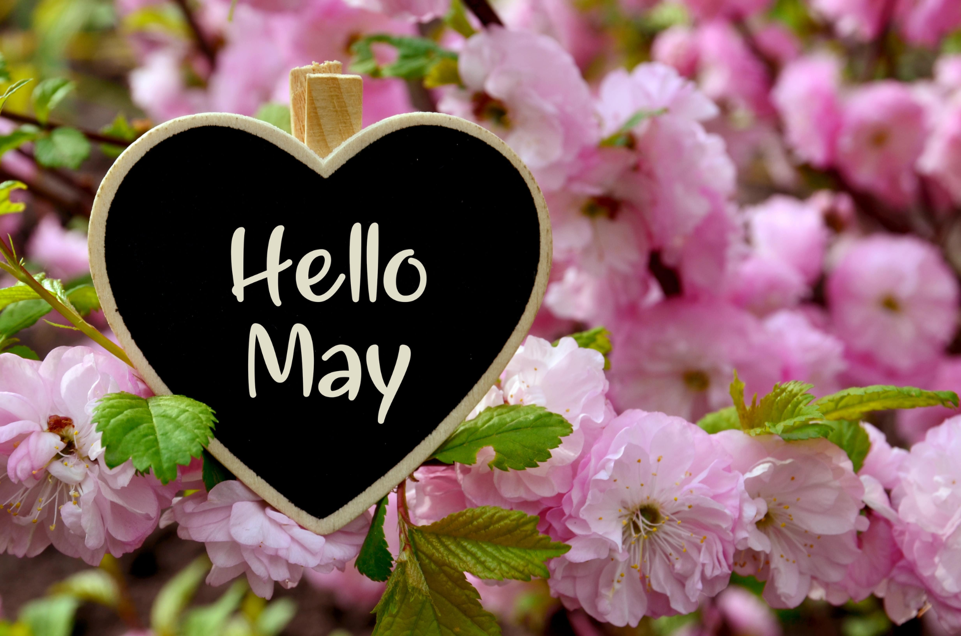 May In Your Garden 2024