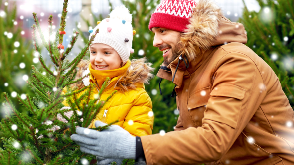 Christmas Is Coming To Midgley!