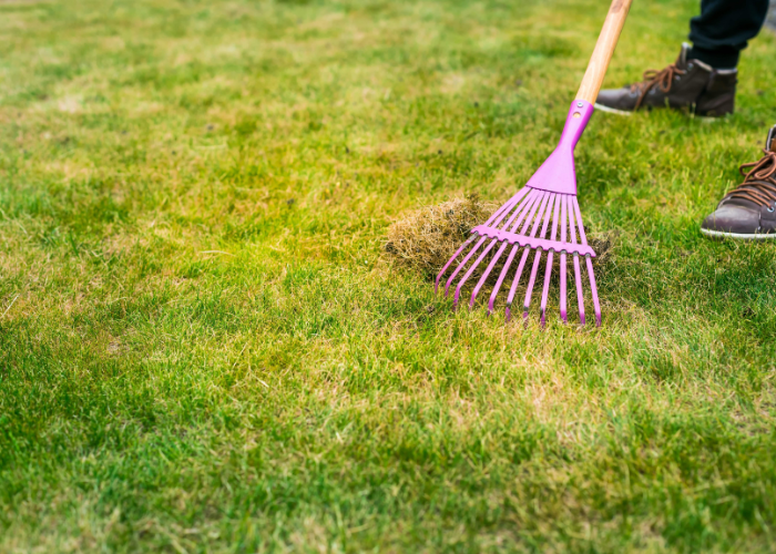 “scarifying garden