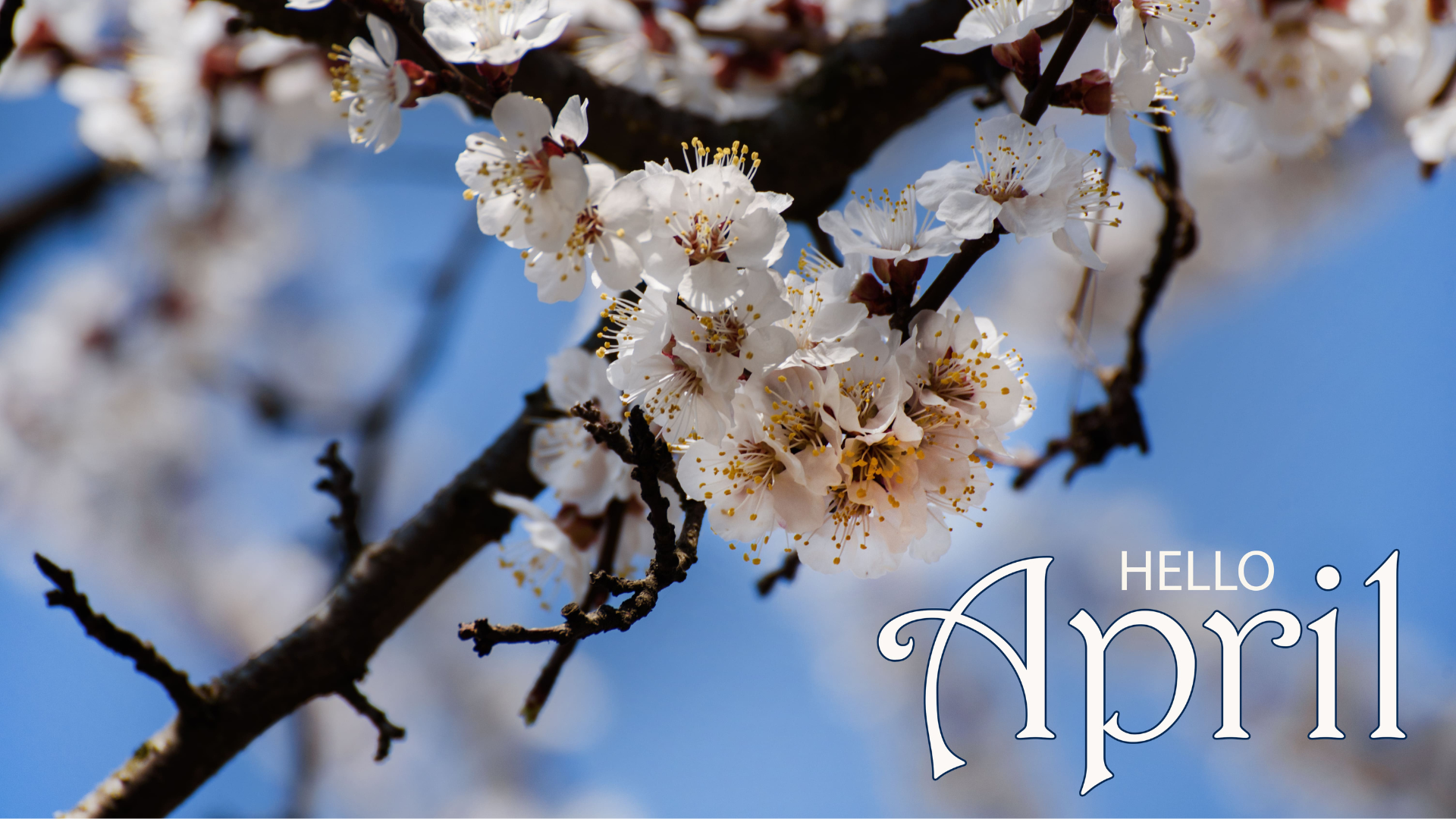 april in your garden 2025