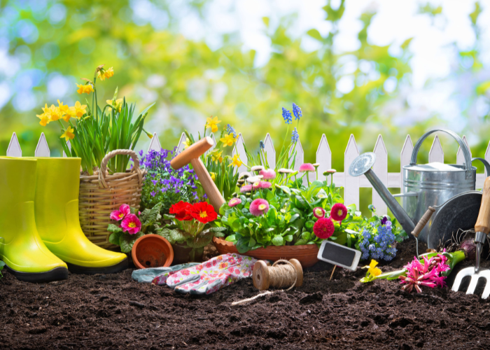 May garden checklist