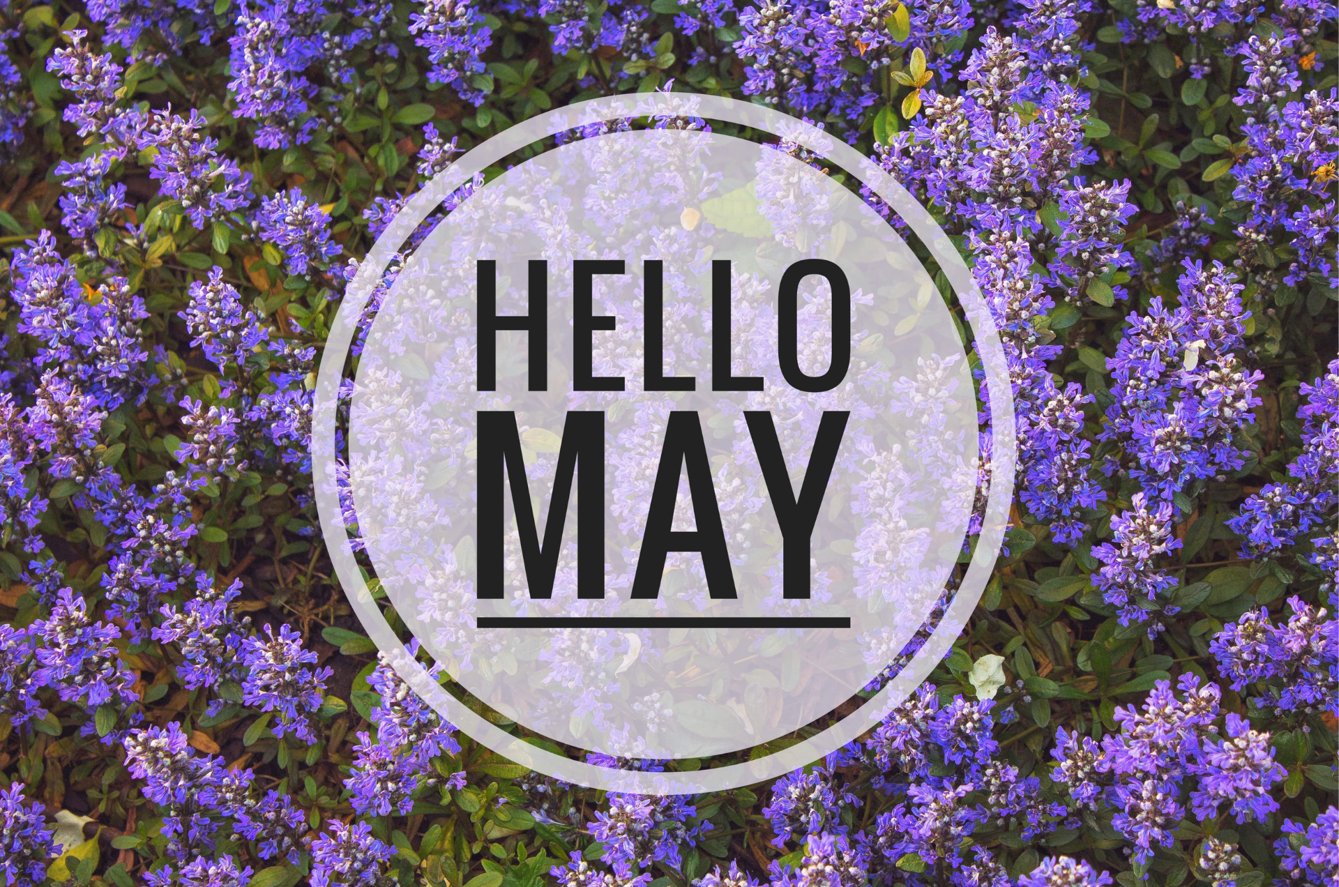 May in your garden 2025