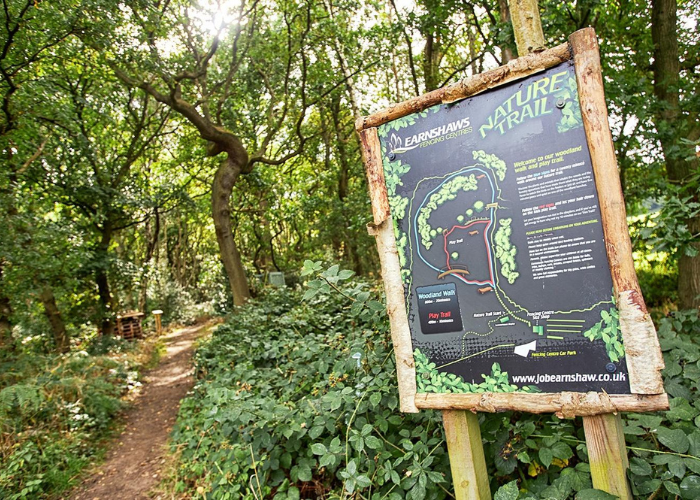 Yorkshire's woodland wonders