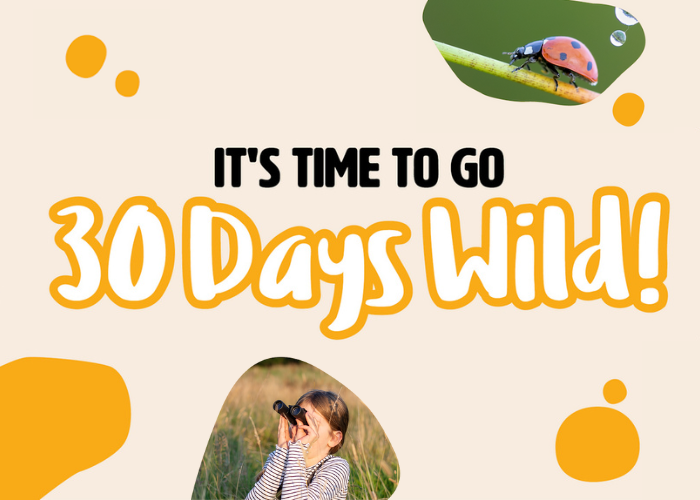 30 days wild