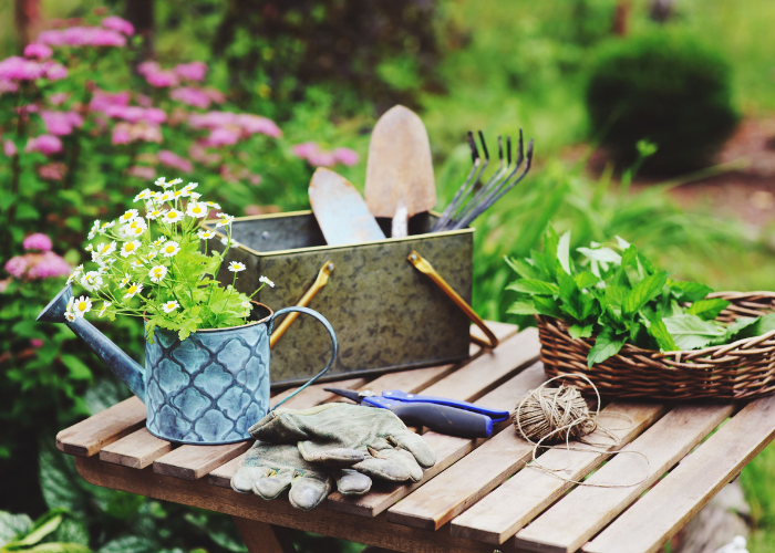 June garden Checklist