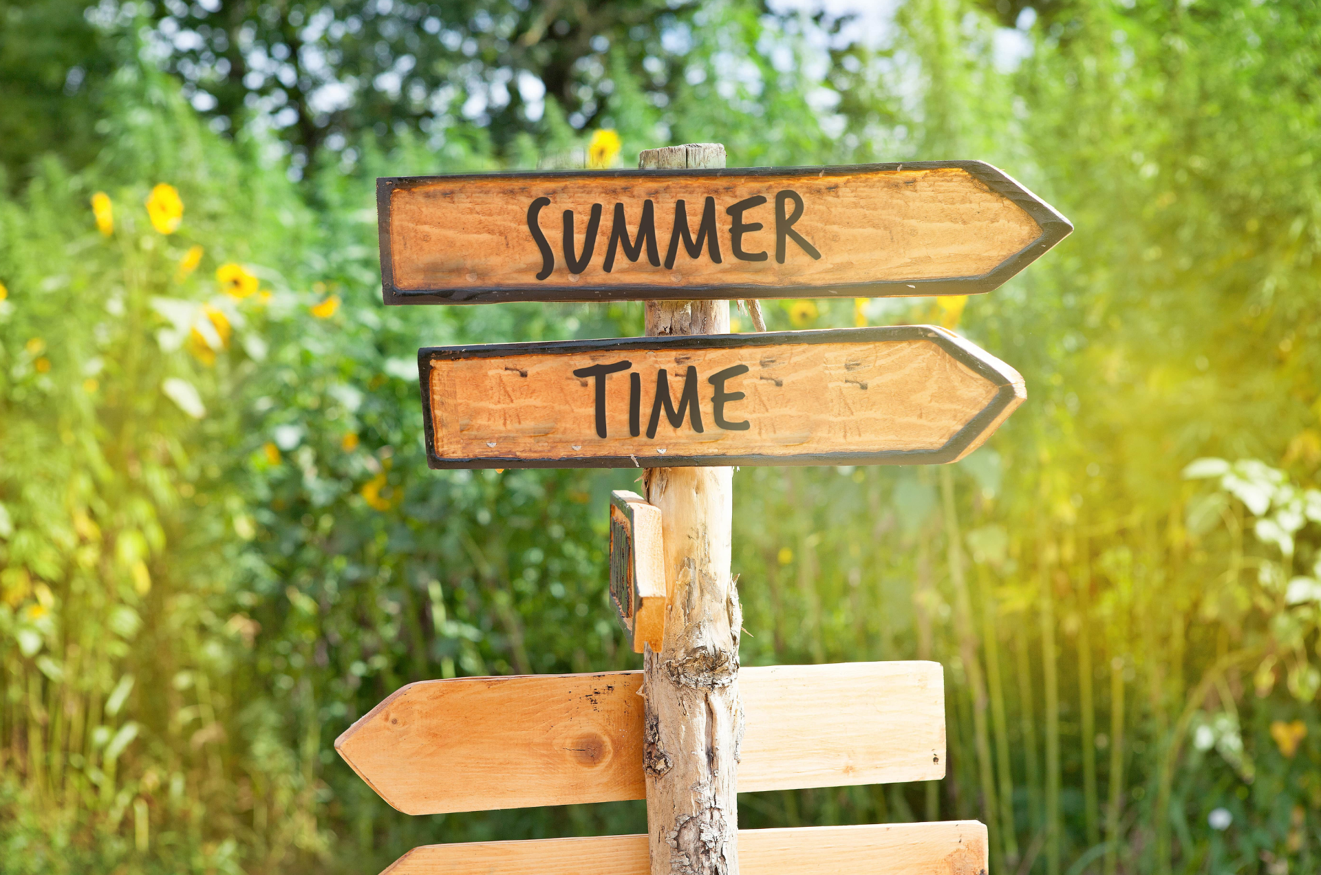 June In Your Garden 2025