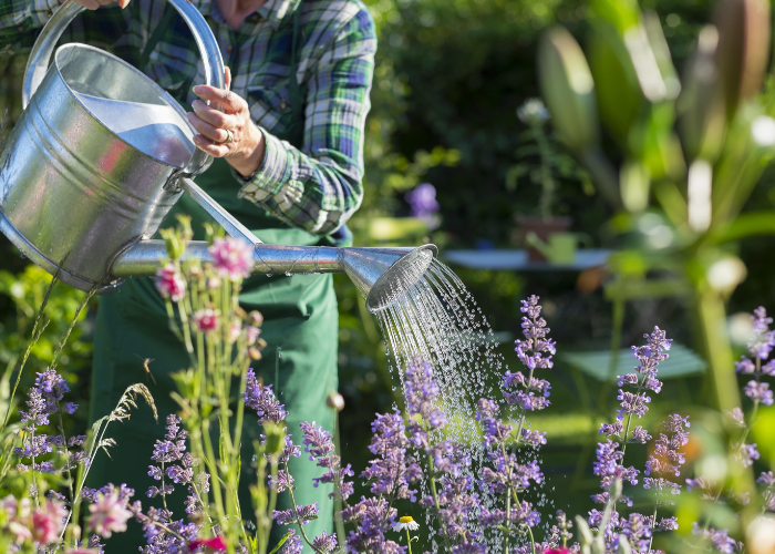 July garden Checklist
