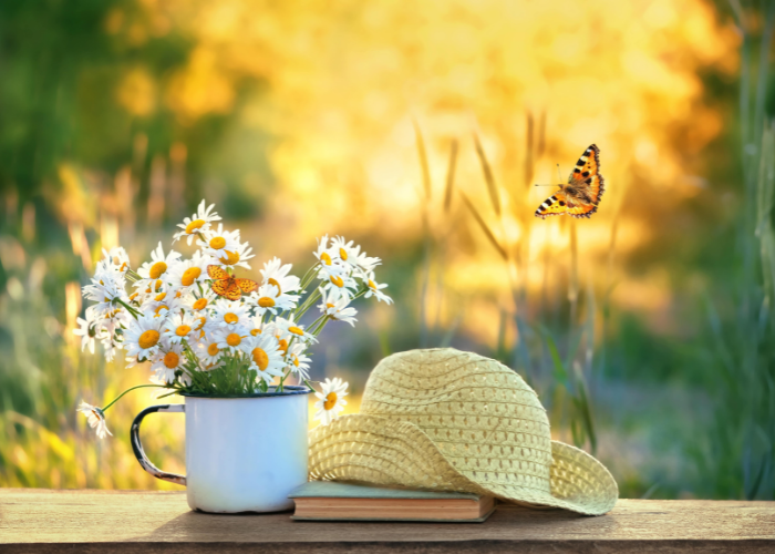 August garden Checklist