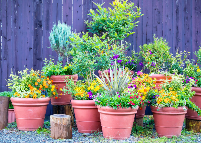 Holiday-proof your pots