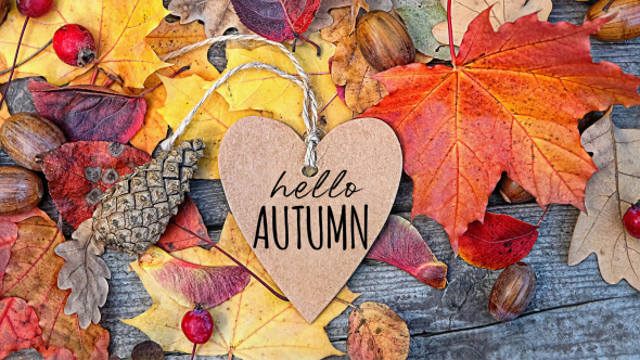 September In Your Garden