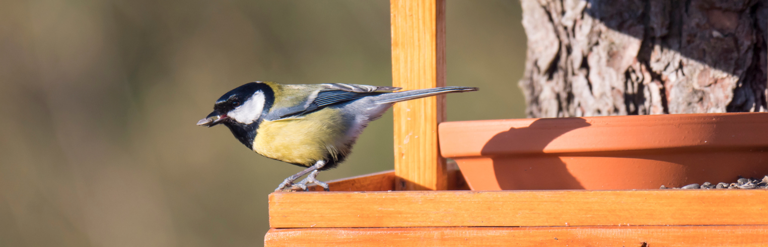 Wooden Bird Tables