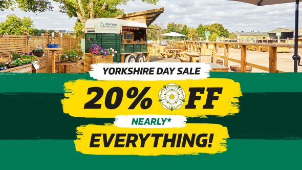20% Off (Nearly*) Everything!