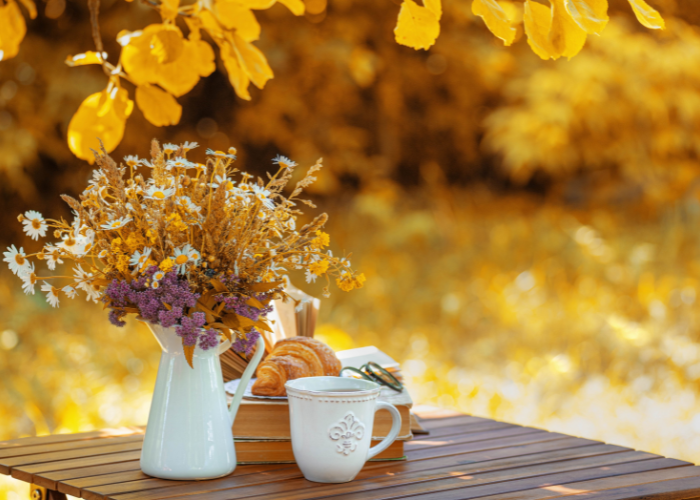 September garden Checklist