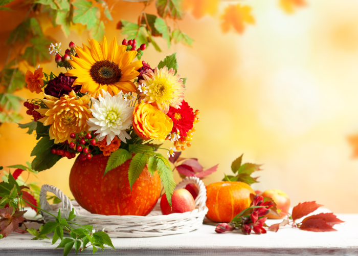 October garden Checklist