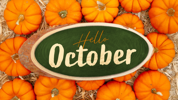 October In Your Garden