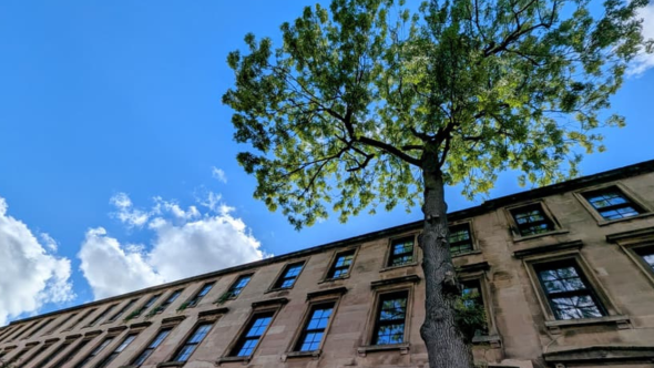 The Tree Of The Year 2025 Has Been Announced!