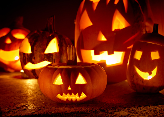 What to Harvest in October